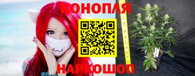 стафф Балашиха