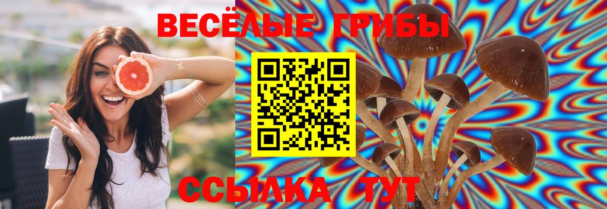 купить   Псилоцибиновые грибы ЛСД  Вход с VPN  Горячий Ключ 